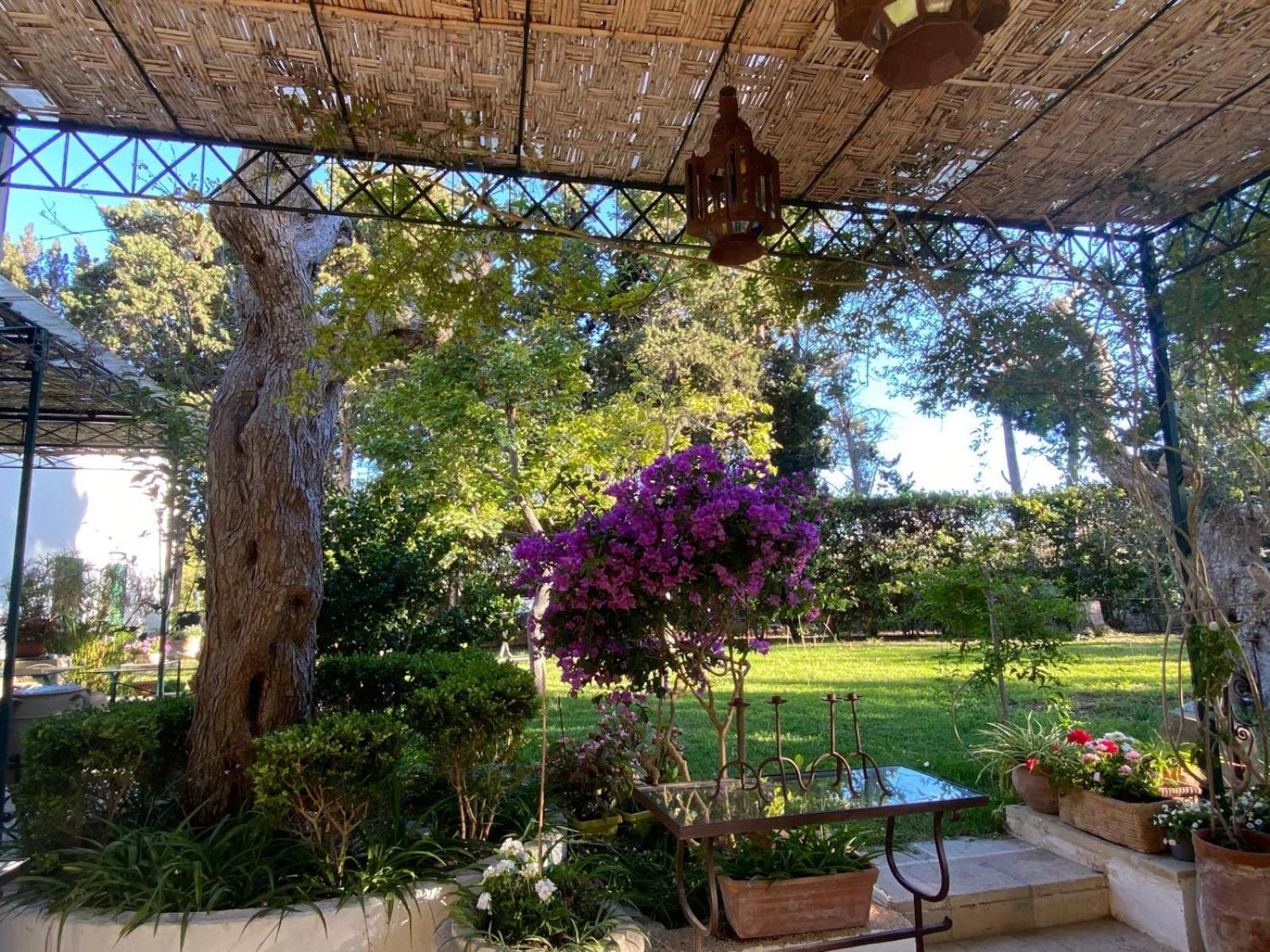 Tenuta Belvedere Otranto Dış mekan fotoğraf