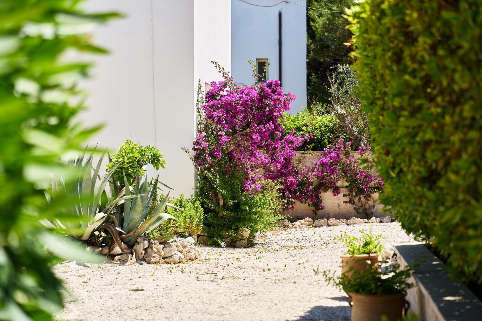 Tenuta Belvedere Otranto Dış mekan fotoğraf