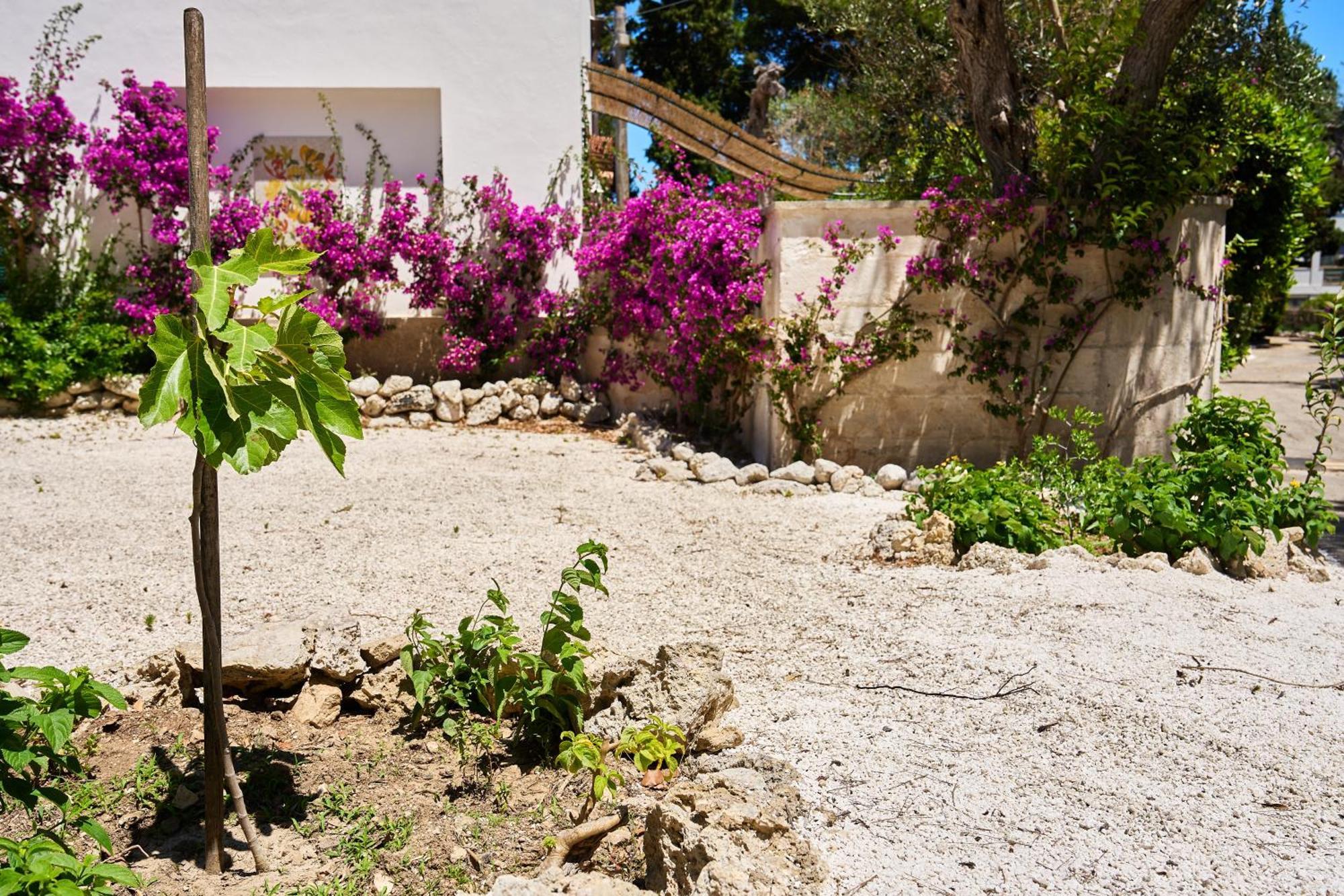 Tenuta Belvedere Otranto Dış mekan fotoğraf